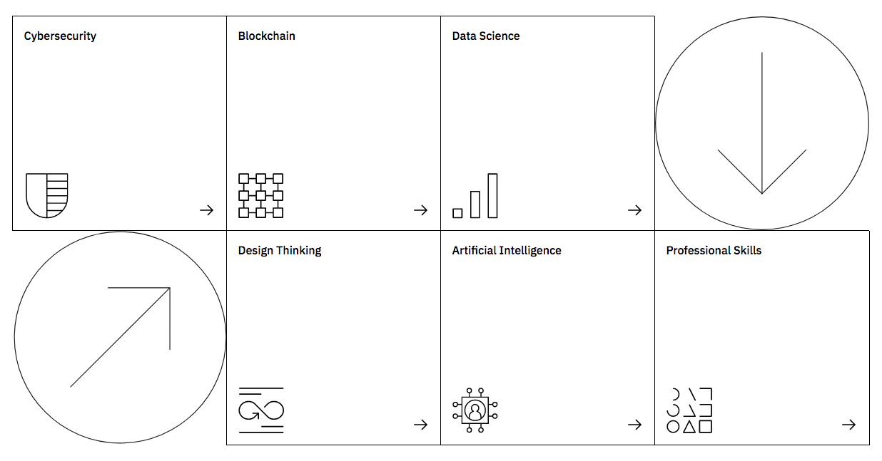 IBM-P-TECH-Global-Program