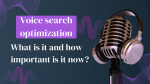 Voice search optimization