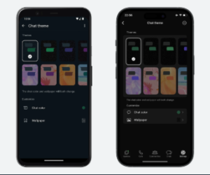 WhatsApp chat theme feature