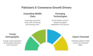 Future Outlook and Opportunities