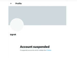 Grok suspend on X