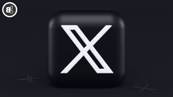 x verified organizations