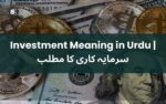 what-is-investment-meaning-in-urdu