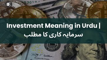 what-is-investment-meaning-in-urdu
